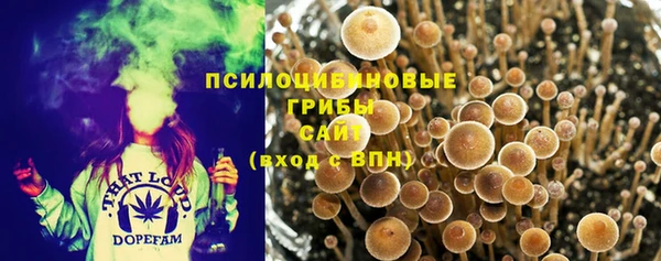 дживик Балабаново
