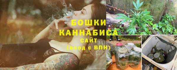 ПСИЛОЦИБИНОВЫЕ ГРИБЫ Баксан