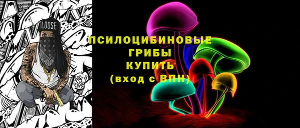 ПСИЛОЦИБИНОВЫЕ ГРИБЫ Баксан