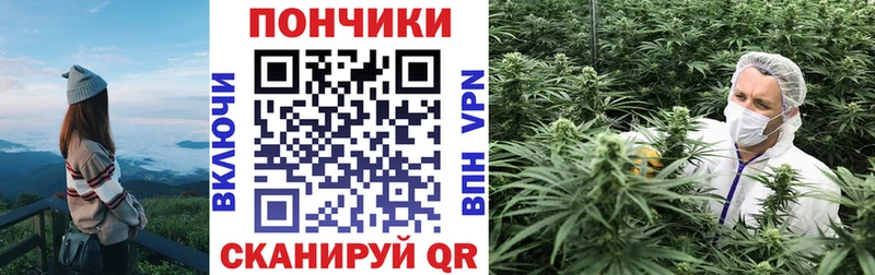 площадка Telegram  Томмот  Бошки марихуана планчик 